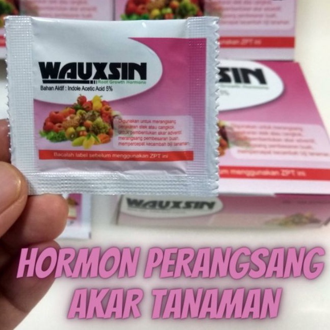 Perangsang Akar Wauxsin