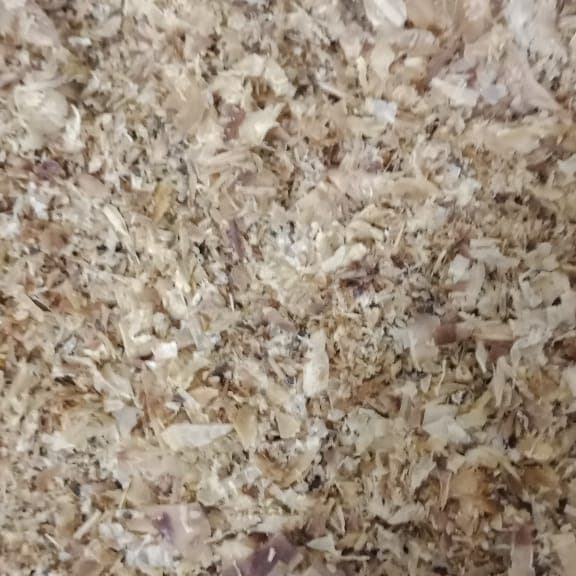 

Roxx.ea - .ea - .ea - Katsuboshi Halus 500 Grm 60.000