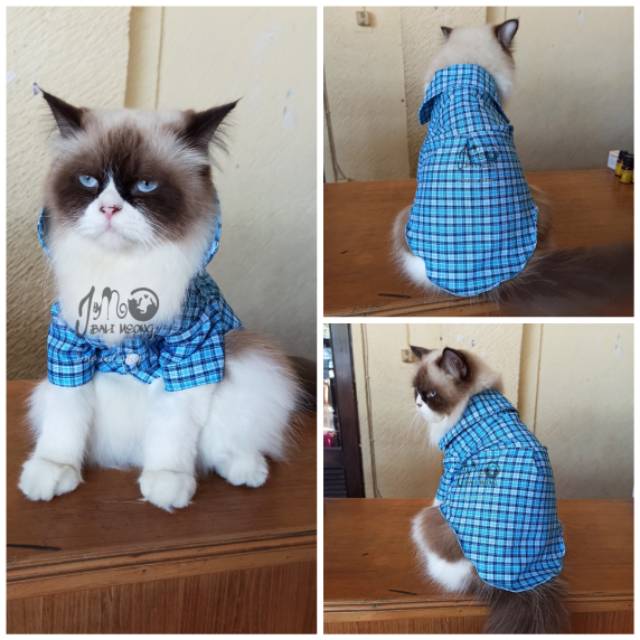 Baju kucing kotak-kotak