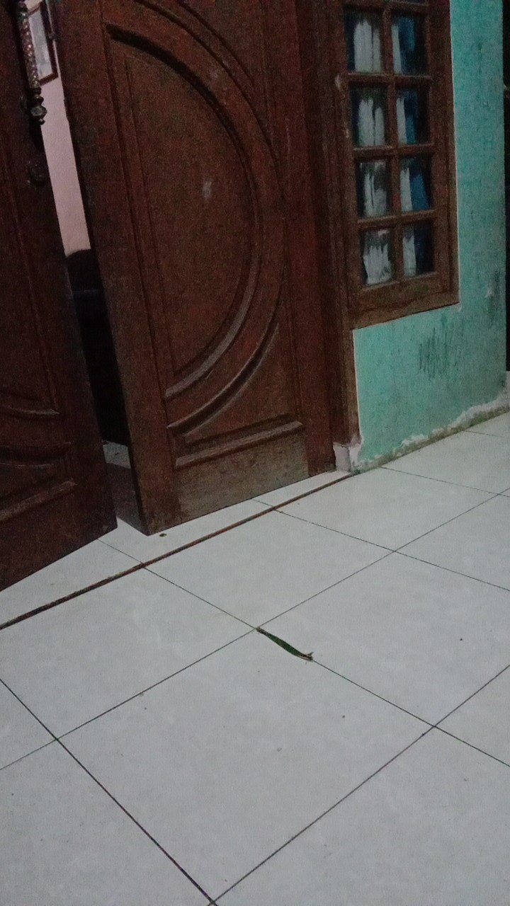 Kemeja Koko Batik Anak Dan Dewasa Motif Sidoasih - Kerang - Kenari