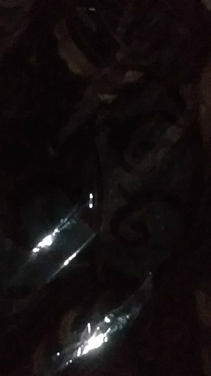 Usia 3-12 Tahun|kemeja Batik Anak|hem Anak Laki Laki Lengan Pendek Motif