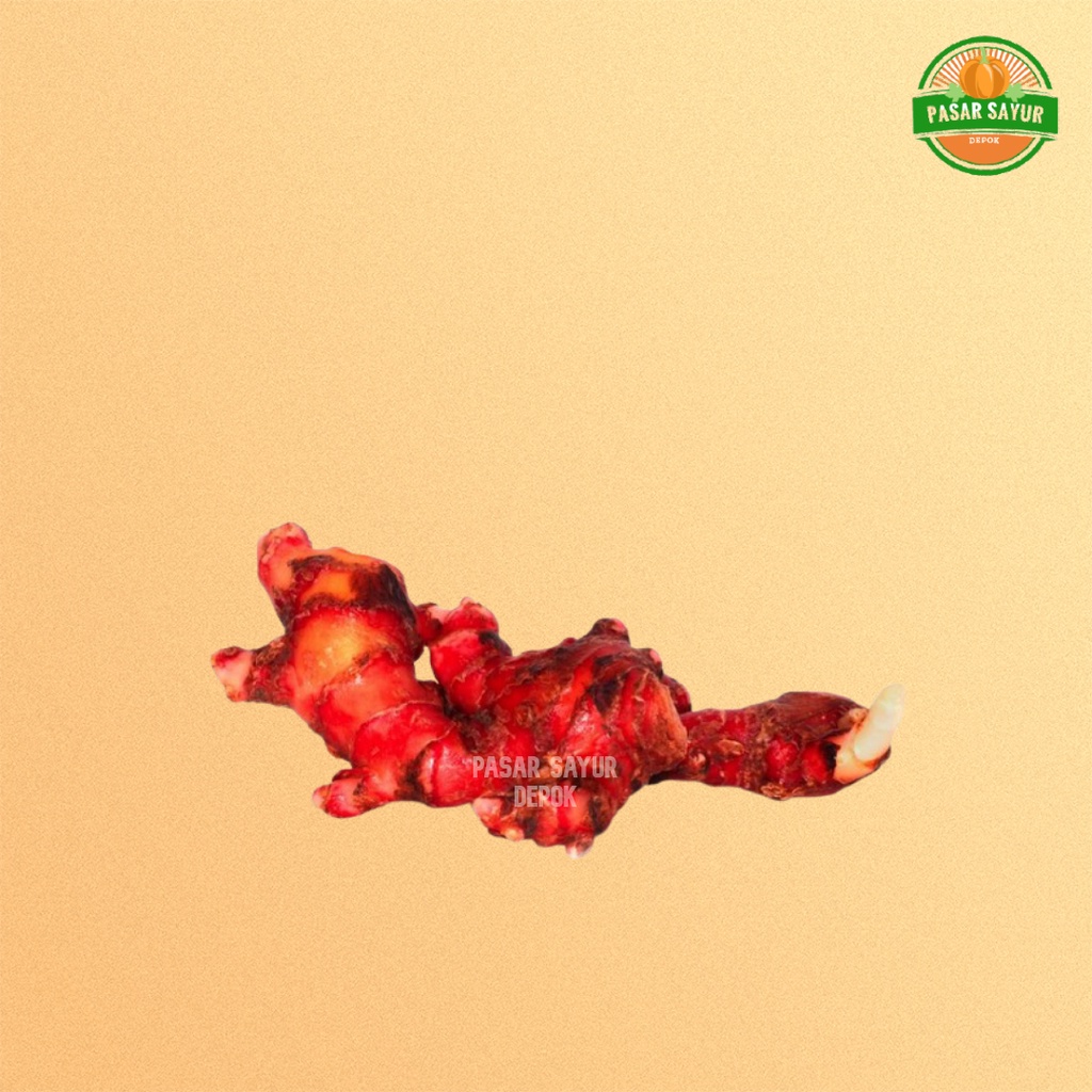 

Jahe merah segar 250- 500 gram