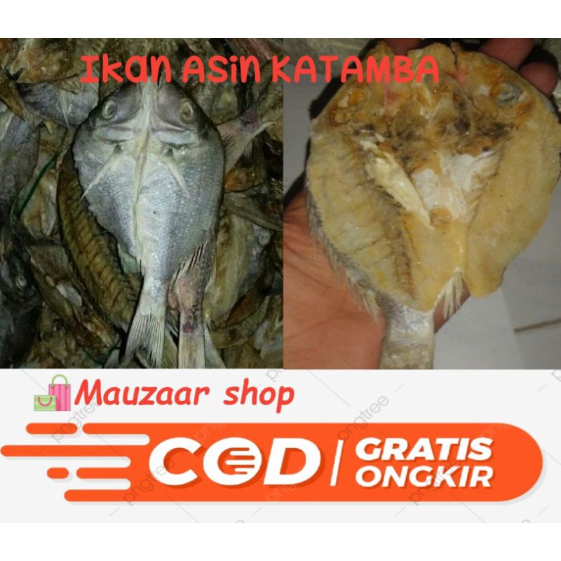 

IKAN KERING