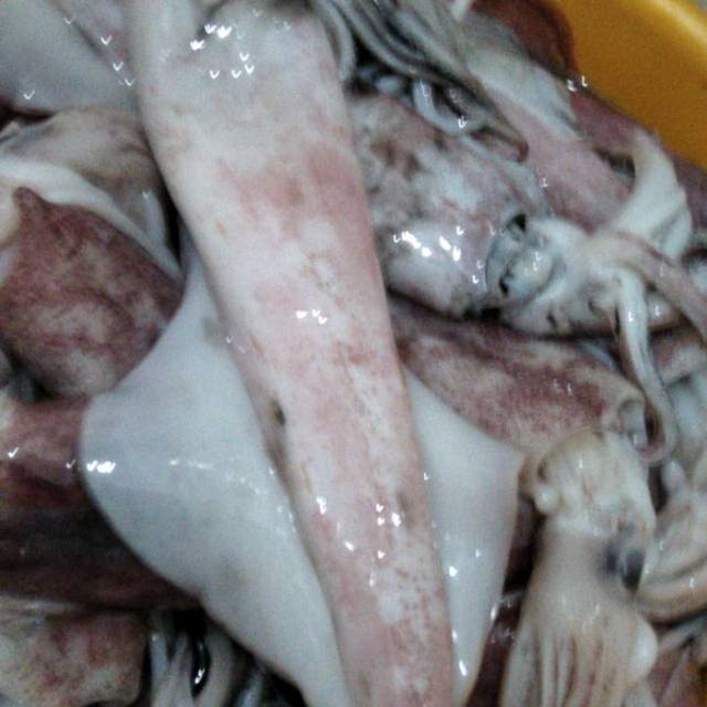

Isi ( 8-10) Cumi Fresh