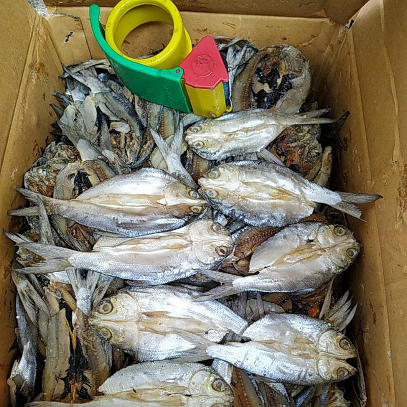 

ikan asin bandeng belah kering ;1 kg best selerr