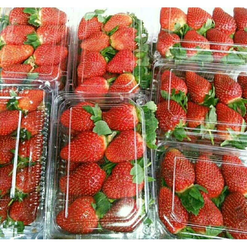 Jual Buah Strawberry Segar 500 Gram | Shopee Indonesia