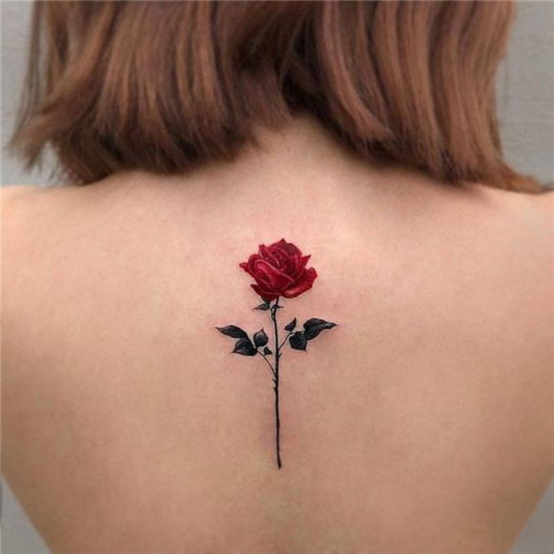 Tato temporer mawar merah tato flower tato red roses Stiker Tato Minimalis  - MM