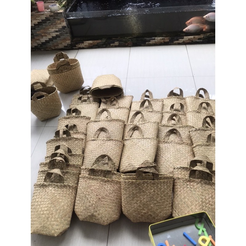 Bakul Purun Kalimantan