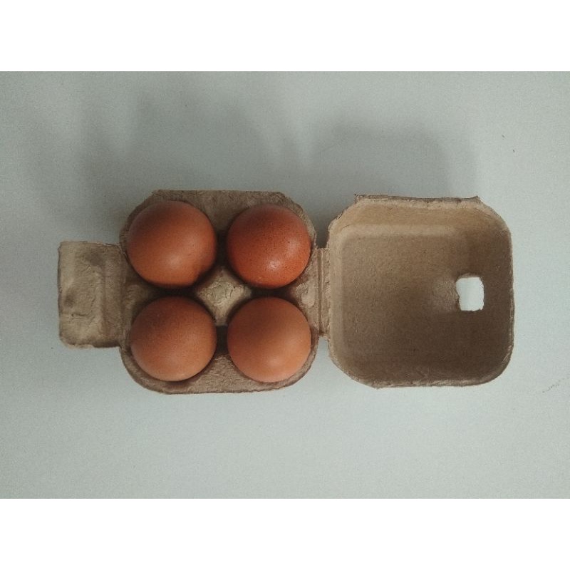 

Telur Ayam OMEGA3 Fresh Isi 4 Butir