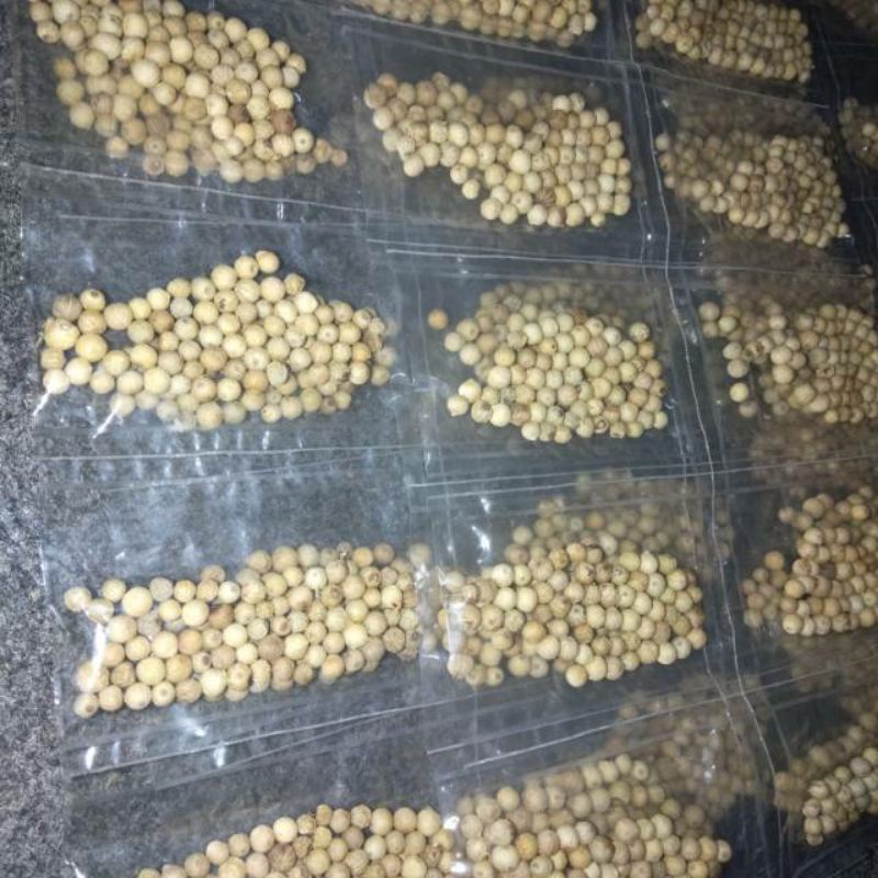 

ketumbar bumbu masak