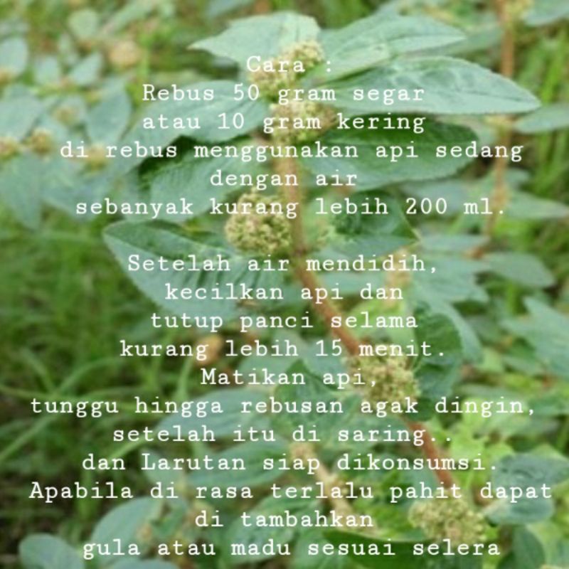 

PATIKAN KEBO SEGAR 100g