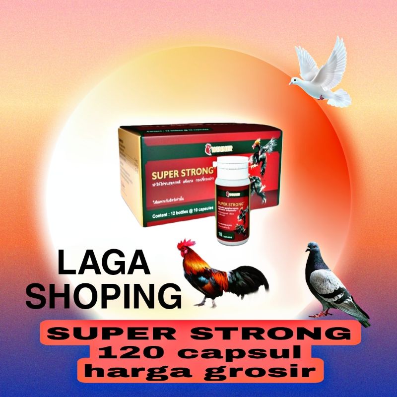 12 botol super strong winner 120butir vitamin obat doping ayam tarung