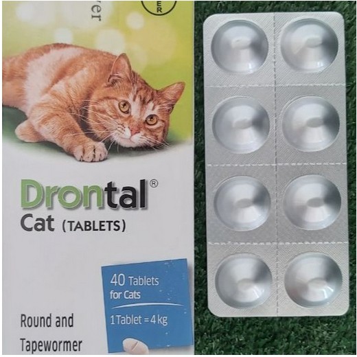 DRONTAL CAT / drontal cat OBAT CACING KUCING