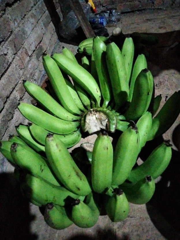 New Kemeja Batik Slimfit Exclusive Original Butik Atasan Batik Seragam M L Xl Xxl