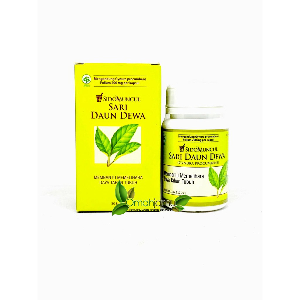 KAPSUL SARI DAUN DEWA SIDOMUNCUL