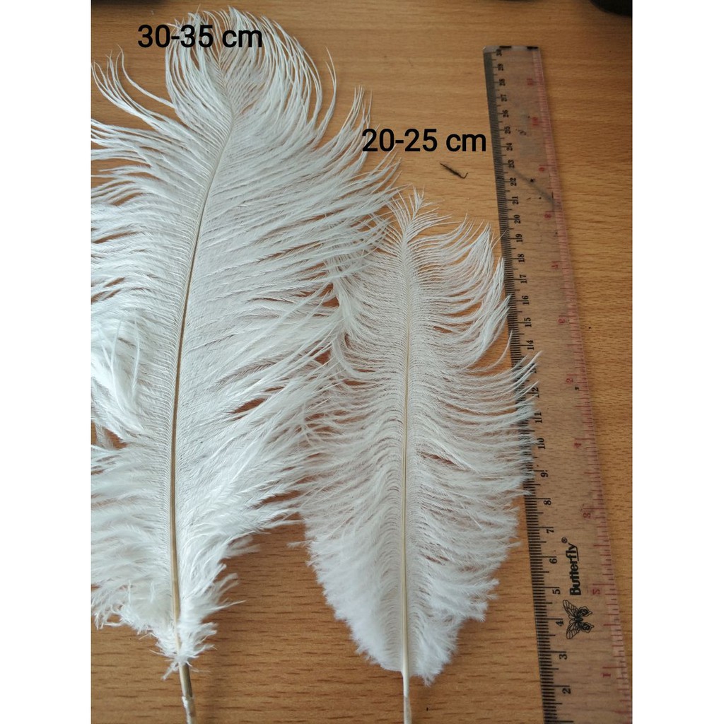 Replika Super Bulu Ostrich feather 20-25 cm