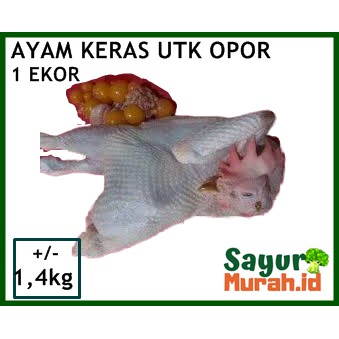 

AYAM OPOR / AYAM KERAS / AYAM MERAH 1 EKOR [ +- 1,4KG]