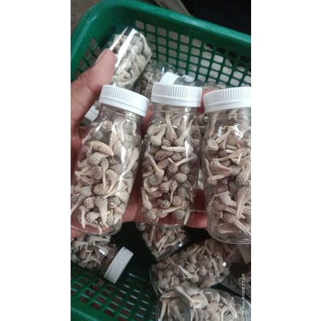 jamu mpot putih herbal original Madura ukuran kecil