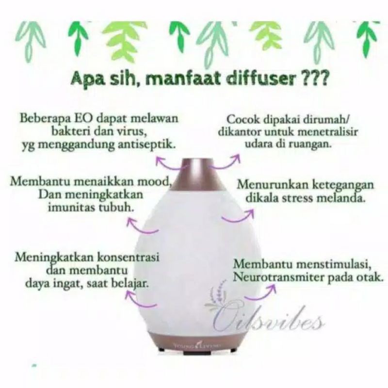 paket premium young living diffuser + 12 oil