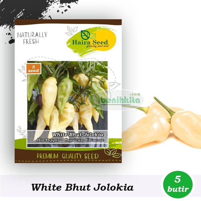 Benih-Bibit Cabe Super Pedas White Bhut Jolokia (Haira Seed)