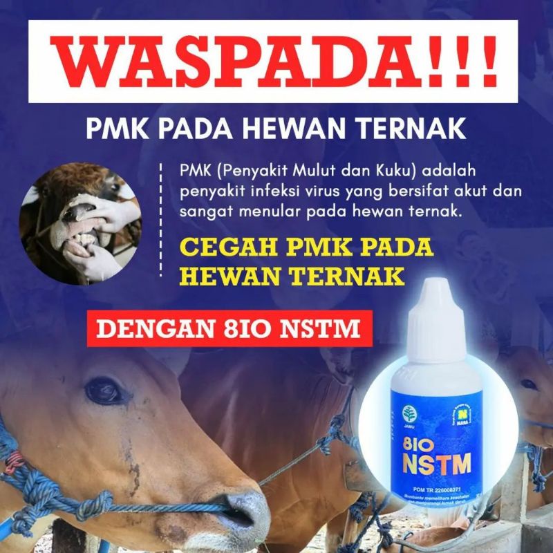 JAMU UNTUK SAPI GEJALA PMK OBAT PMK TERNAK SAPI KAMBING