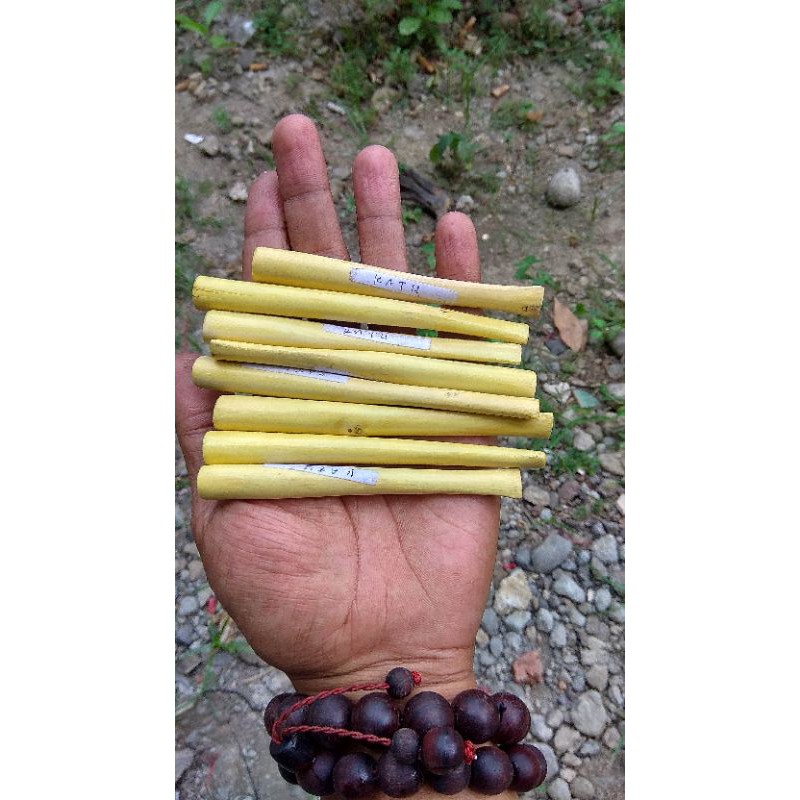 Pipa once kayu katu katuk asli original paududan bukan cangklong tanduk tulang iga duyung galih asem