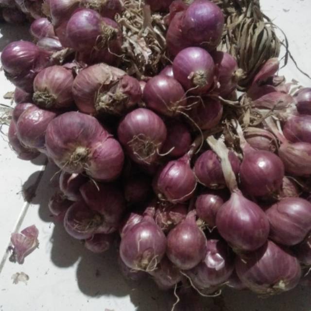 

Bawang merah