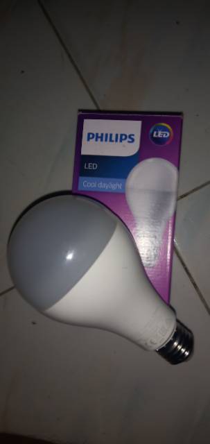 LAMPU LED PHILIPS 19W