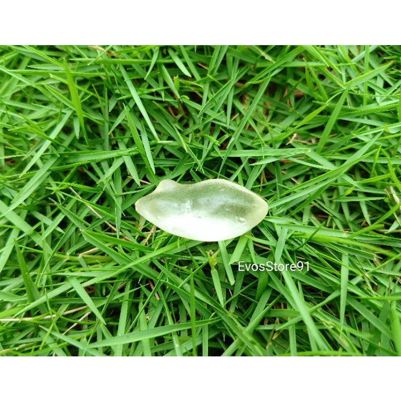 (2,5 cm) Molding Soft Frog Panjang 2,5 cm AG0122.2031