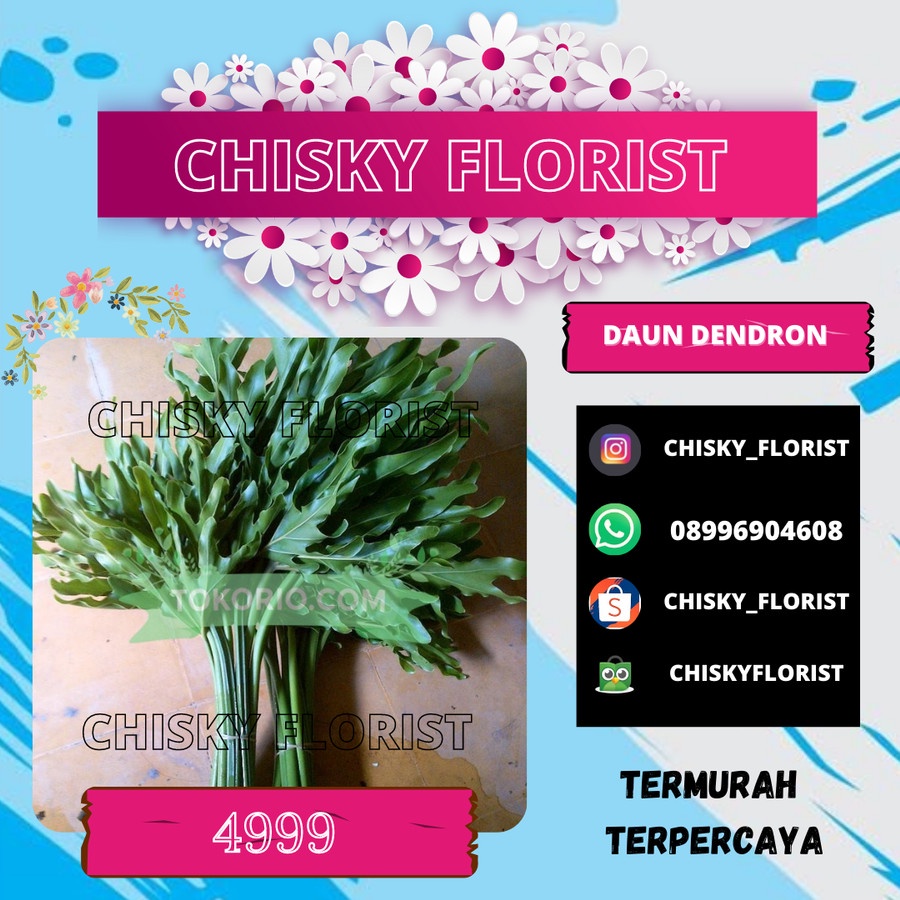 TOKO BUNGA BANDUNG / DAUN DANDRON