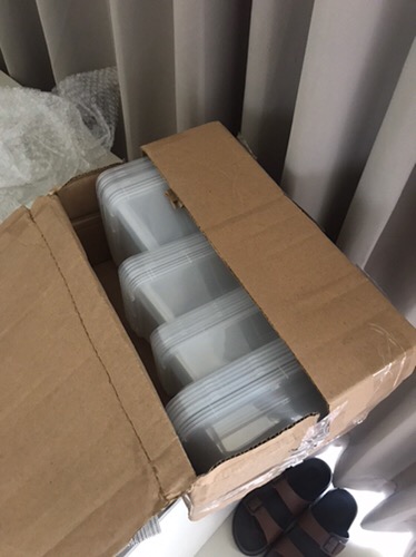 Murah Food Container Pp Thinwall Food Box Kotak Makan Plastik Food Box  Pinggiran Oval