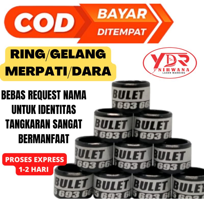 RING MERPATI RING DARA CUSTOM