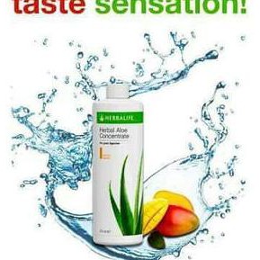 Laris ALOE HERBALIFE# RASA MANGGA MANGGO ALOEVERA #HERBALIFE PROMO