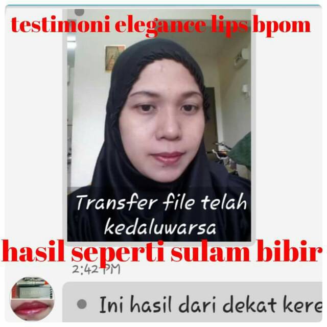 Lipstick elegance rouge hasil seperti sulam bibir - lipstik mate sulam bibir