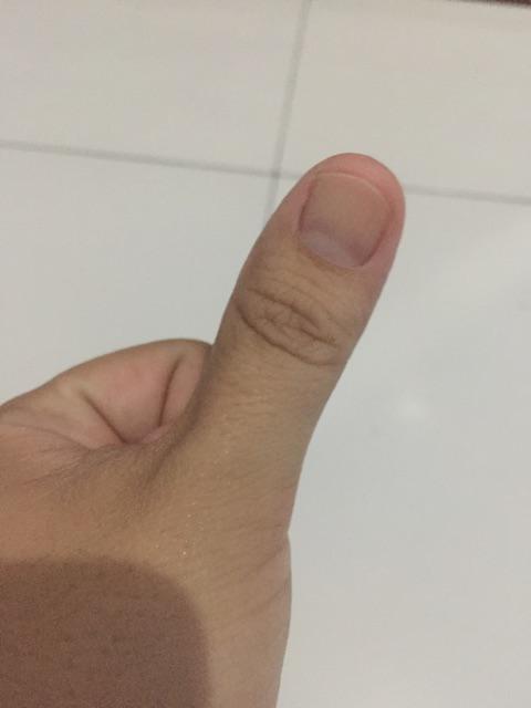 Thinwall 650 Ml Round + Tutup Merek Fim Harga 1 Roll Isi 25 Pcs