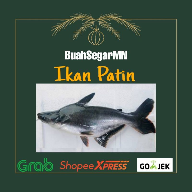 

Ikan Patin - 1 Ekor