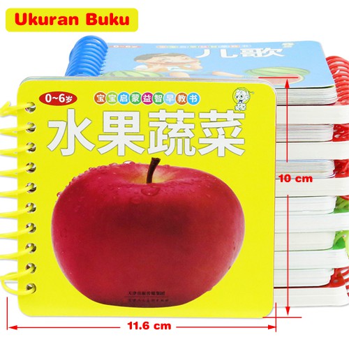 FC-101 Flashcard Belajar Anak Inggris Mandarin Pinyin/Buku Baca Bahasa Asing