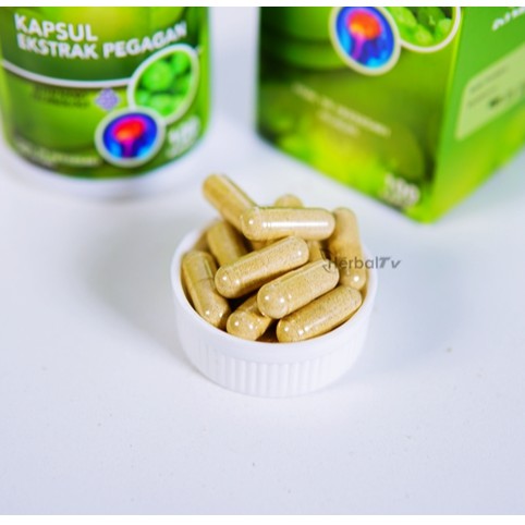 Obat Epilepsi Vertigo Ayan Migrain Sakit Kepala Akut Dan Pusing Herbal Alami Shopee Indonesia