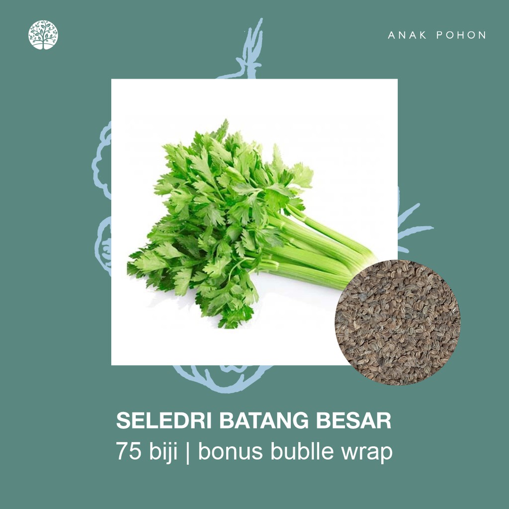 SERBA SERIBU - Benih Bibit Biji - Paket Benih Sayuran DAUN Termurah Kangkung Sawi Selada Seledri Kol-Seledri Batang Jumbo
