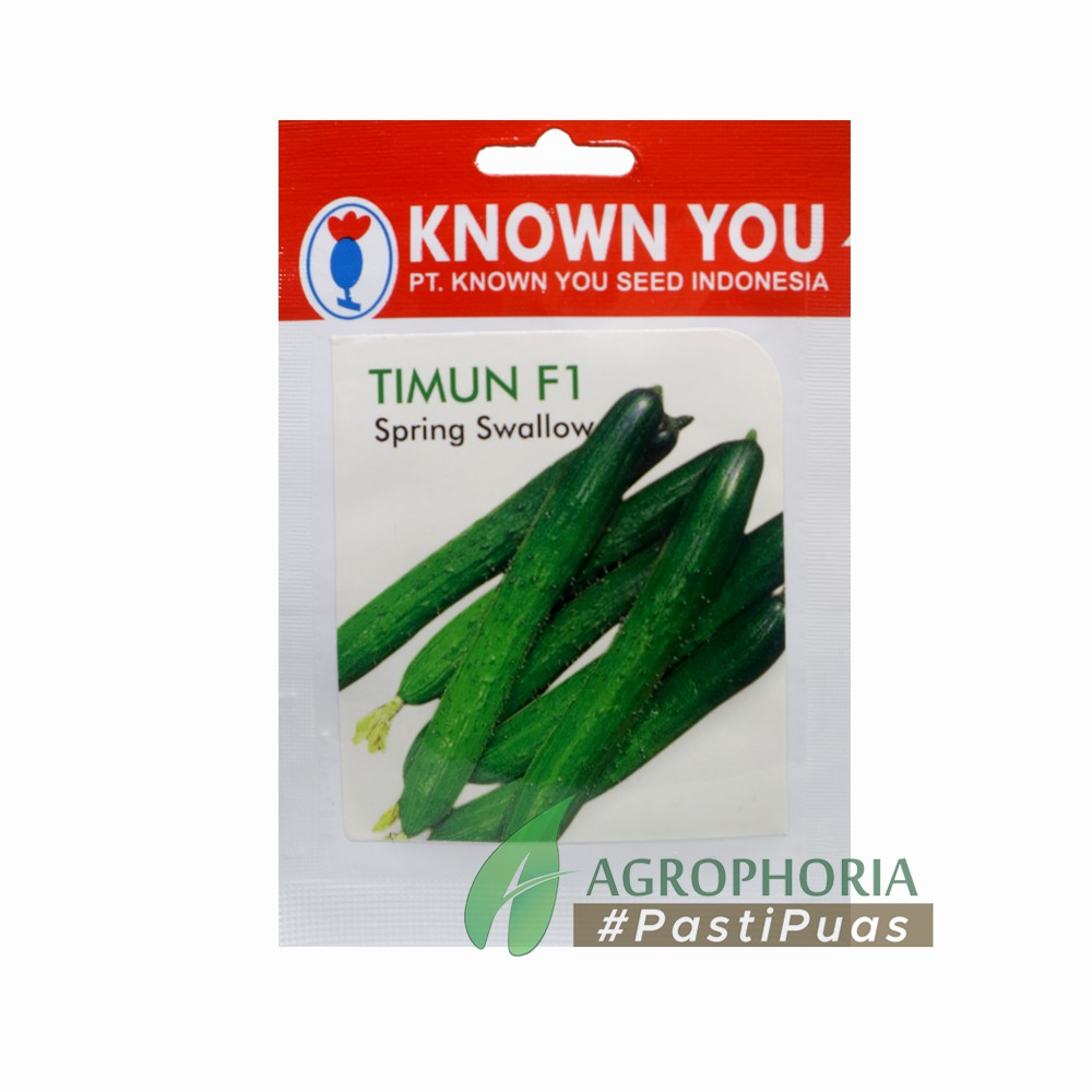 Benih Timun Spring Swallow F1 26 Seeds - Known You Seed