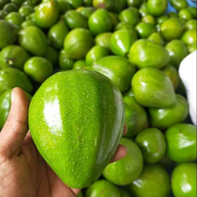 

Alpukat mentega