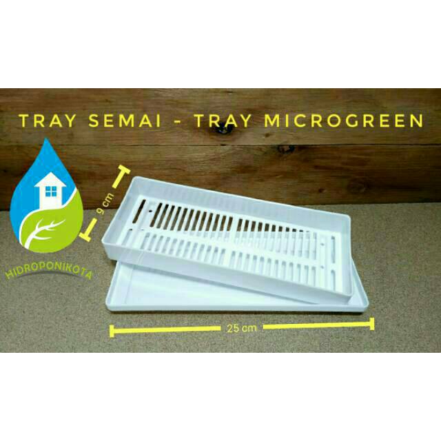 tray semai hidroponik - tray semai microgreen - tray semai kotak