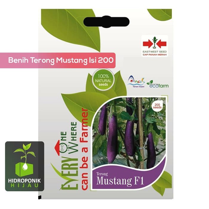 FREE ONGKIR Benih Terong Mustang FREE ONGKIR Shopee FREE ONGKIR Benih Terong Mustang FREE ONGKIR Shopee