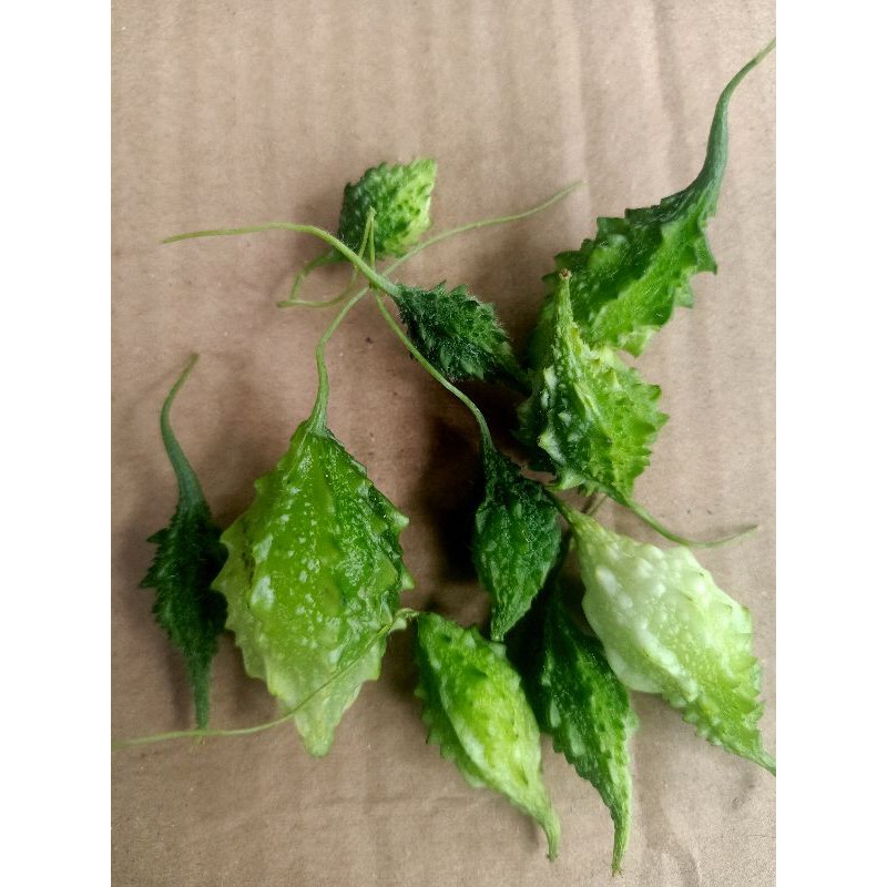 

paket 500 gram buah pare hutan segar