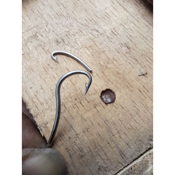 kail pancing welut model rampid