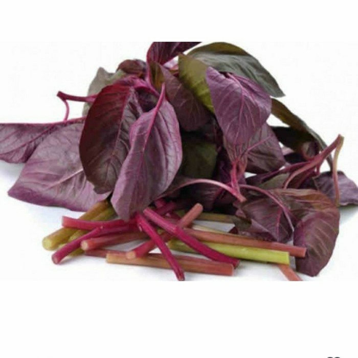 

Sayur Bayam Merah - 1 Pcs
