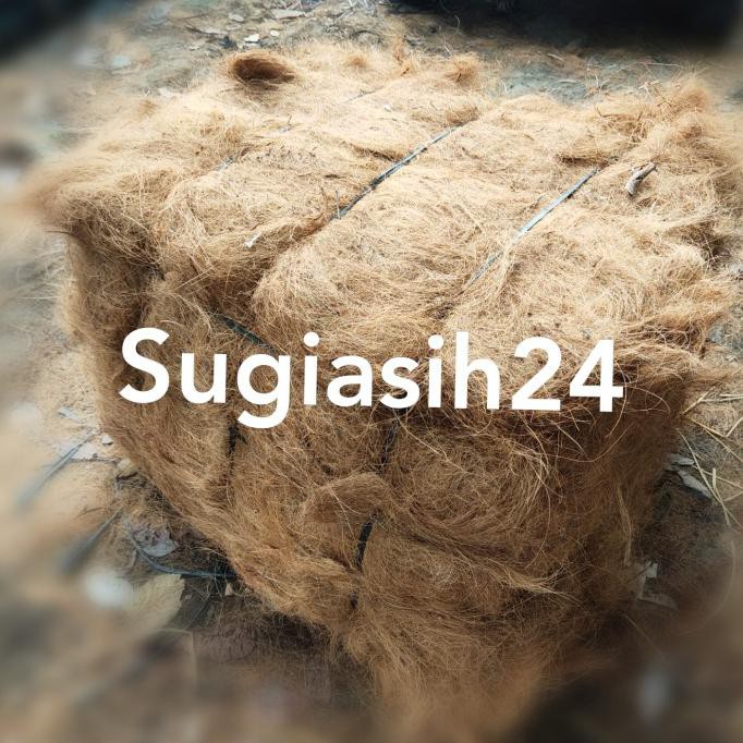 IJUK FIBER SERABUT KELAPA