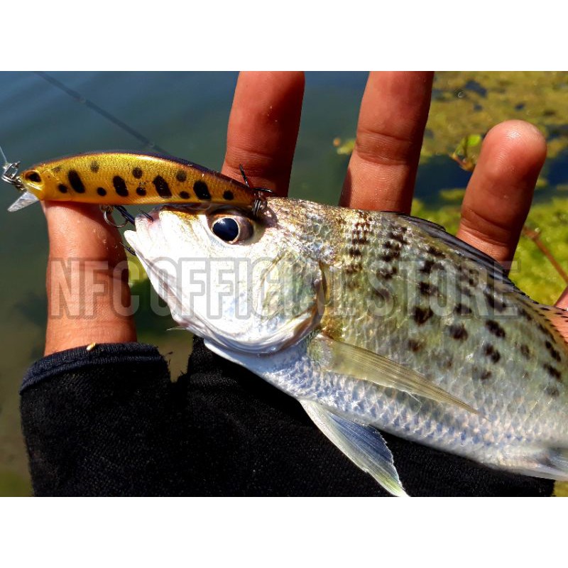 Minnow sinking 4gr/6cm, umpan casting ikan fresh water dengan action KILLER