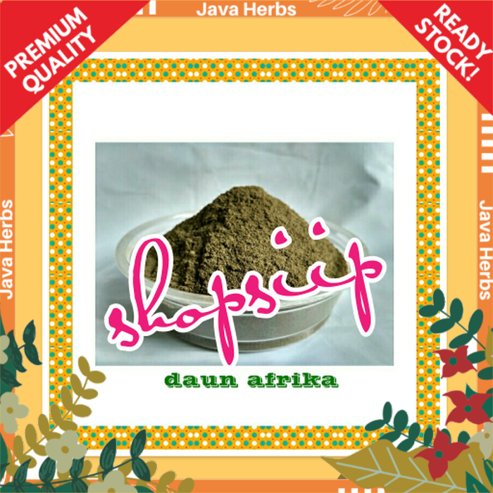 

DAUN AFRIKA BUBUK - VERNONIA AMYGDALINA - SIPAHIT - 500 GRAM