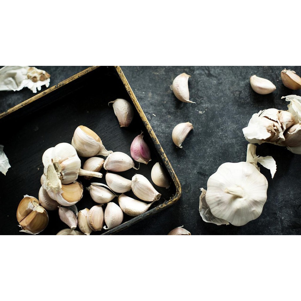 

Bawang Putih Honan / Bawang Putih Banci